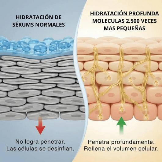 Deep Collagen® | Sérum  coreano con 30 péptidos de seda